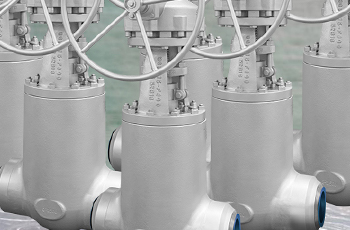 加氢乐鱼网站_乐鱼(中国)