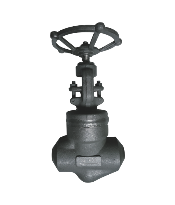 国标锻钢截止阀